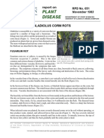 Plant Disease: Report On