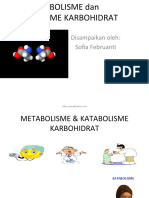 Metabolisme & Katabolisme KH