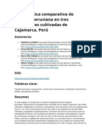 Citogenética comparativa de Physalis peruviana en tres poblaciones cultivadas de Cajamarca