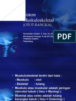 2.sistem Muskuloskeletal