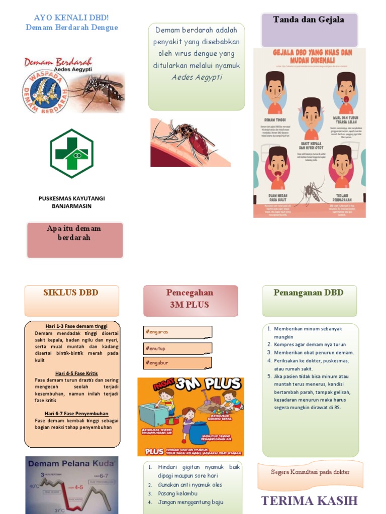 Ayo Kenali Dbd Demam Berdarah Dengue Tanda Dan Gejala Pdf