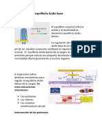 Regulación equilibrio ácido base