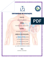 Proyecto Sistema Sanguineo