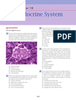 Endocrine System: Questions