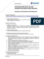 188-Analista de Sistemas Soluciones Cliente Servidor