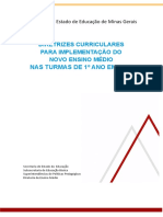 Diretrizes para implementação do Novo Ensino Médio em Minas Gerais
