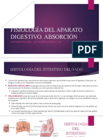 Fisiología Del Aparato Digestivo. Absorcion
