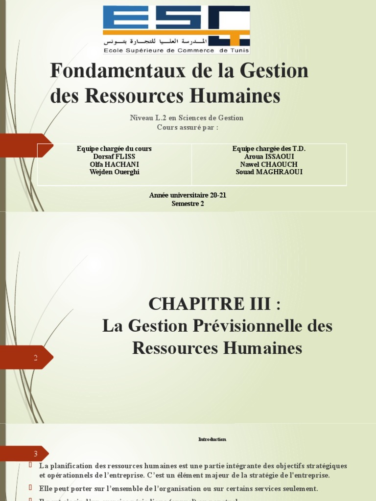 Gestion Prévisionnelle des RH | PDF | Gestion des ressources humaines ...