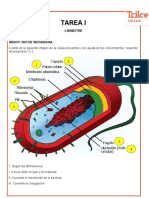 2°tarea I Iibim2022