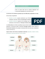 TEMA 6 - Sistema Endocrí