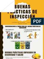 Buenas Practicas de Insp