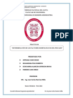 Practica-N4 - Determinacion Morfologica de Los Pescados