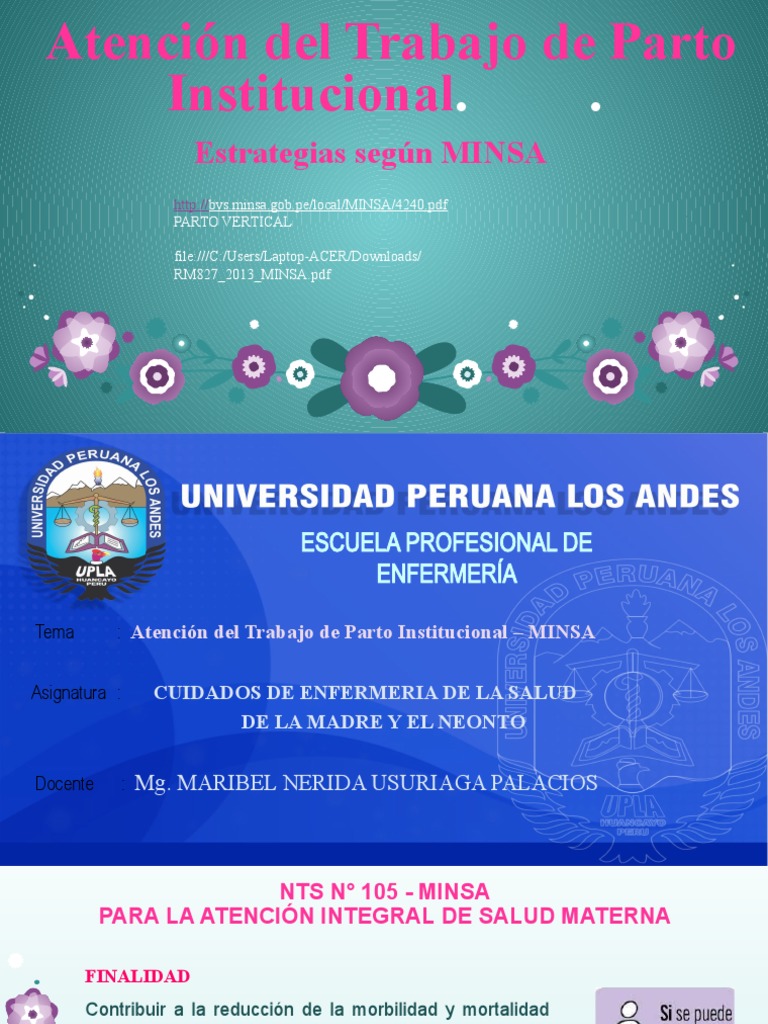 Atención Integral del Parto Institucional | PDF | Parto ...
