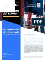 Profesorado Universitario Compressed