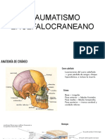 Traumatismo Encefalocraneal