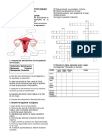 Taller Siste. Reproductor