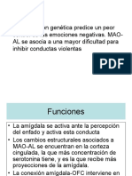 Neurobiología de La Violencia 2