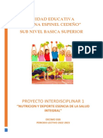 Proyecto Interdisciplinar 1 - 10mo