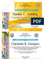 Sandra C. Catibog: Certificate of Participation