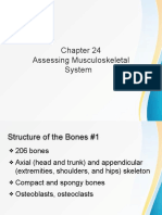 Assessing Musculoskeletal and Nervous Systems