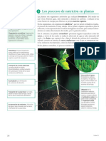 Material de Lectura - Los Procesos de Nutricion en Las Plantas 3