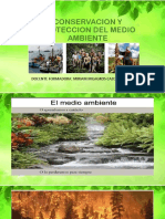 CONSERVACION Y PROTECCION DEL MEDIO AMBIENTEpdf (1)