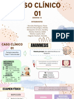 Sub Grupo 1-Examen de Orina Completa, Cultivo e Interpretación-Caso Clínico 01