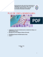 PLAN DE VISITA DOMICILIARIA (ITS) RENATTO RAMIREZ (2) (Autoguardado)