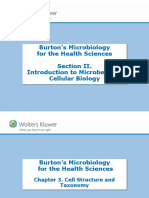 III. Introduction To Microbes and Cellular Biology