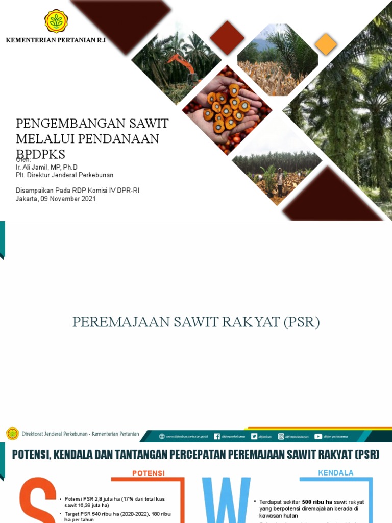 Peremajaan Sawit Rakyat: Potensi & Tantangan | PDF