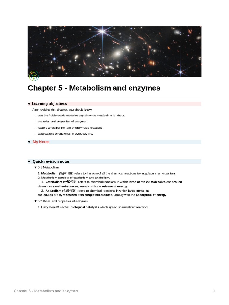 Enzymes in Metabolism and Daily Life | PDF | Enzyme | Active Site