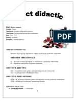 Proiect Didactic 