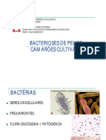 Aula Bacterioses