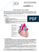 Anat (25) Sistema Cardiovascular 69 - 82