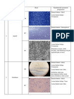 Mikrobiologi Data