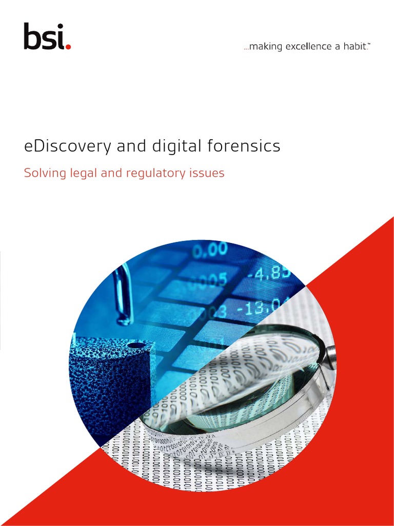 Ediscovery Digital Forensics Brochure PDF Outsourcing Digital