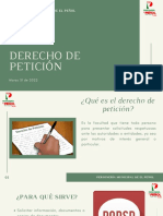 Derecho de Peticion