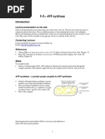 ATP Synthase