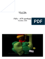 TDC2h: F1Fo - ATP Synthase