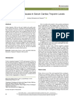 False-Positive Causes in Serum Cardiac Troponin Levels: Review