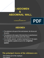 Abdomen Anatomy and Regions
