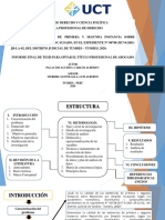 Ponencia Actividad Iu-11