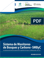 Sistema de Monitoreo de Bosques y Carbono