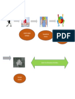 Diagrama de Los Mecanismos Alternativos