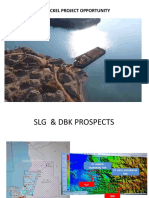 SLG DBK Project