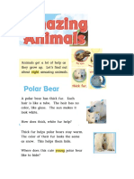 Reading Lesson 22 Amazing Animals