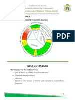 Guia de Trabajo Metodo Bilings