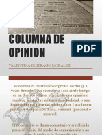 Columna de Opinion