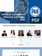 Posibles Candidatos 2023