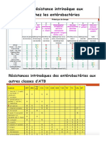 Enterobact Et Bétalact